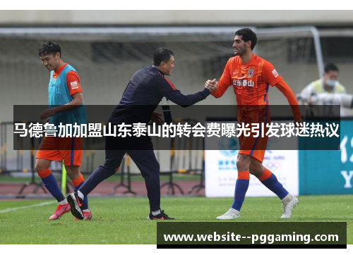 马德鲁加加盟山东泰山的转会费曝光引发球迷热议
